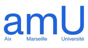 Aix Marseille Université Aix Marseille Université
